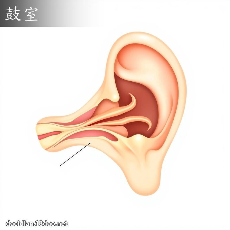 鼓室 - 國語大辭典配圖