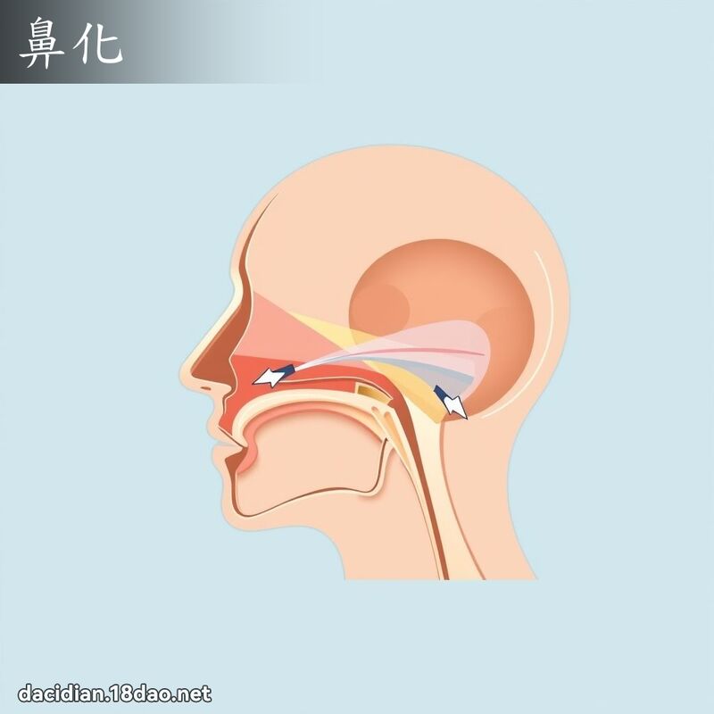 鼻化 - 国语大辞典配图