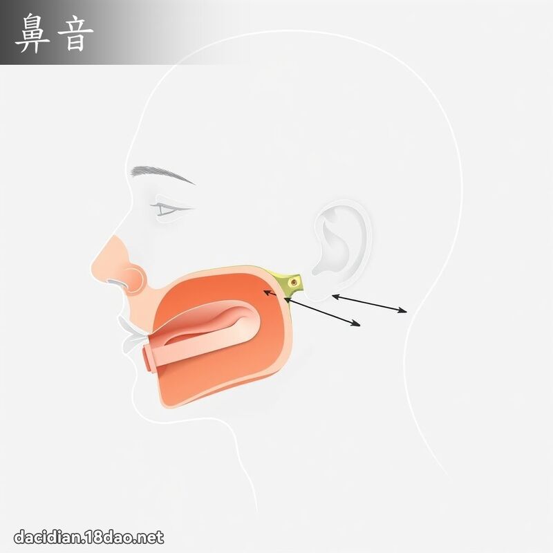 鼻音 - 国语大辞典配图