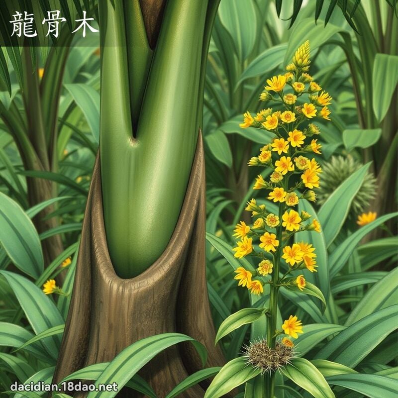 龍骨木 - 國語大辭典配圖