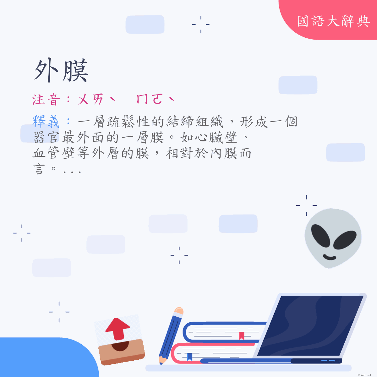 詞語:外膜 (注音:ㄨㄞˋ　ㄇㄛˋ)