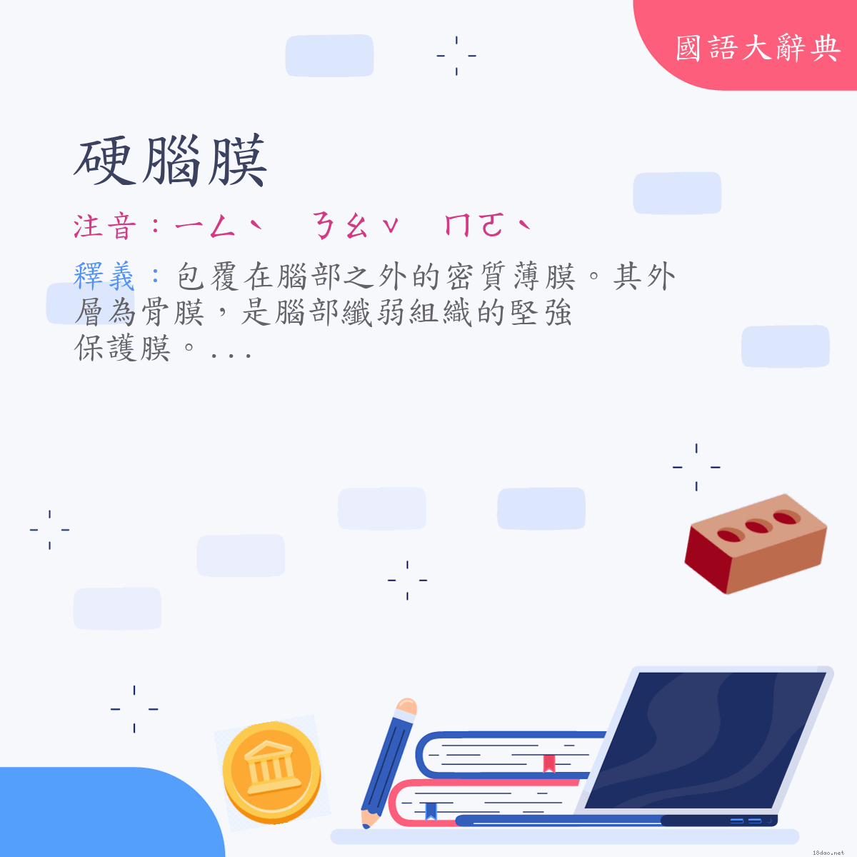 詞語:硬腦膜 (注音:ㄧㄥˋ　ㄋㄠˇ　ㄇㄛˋ)