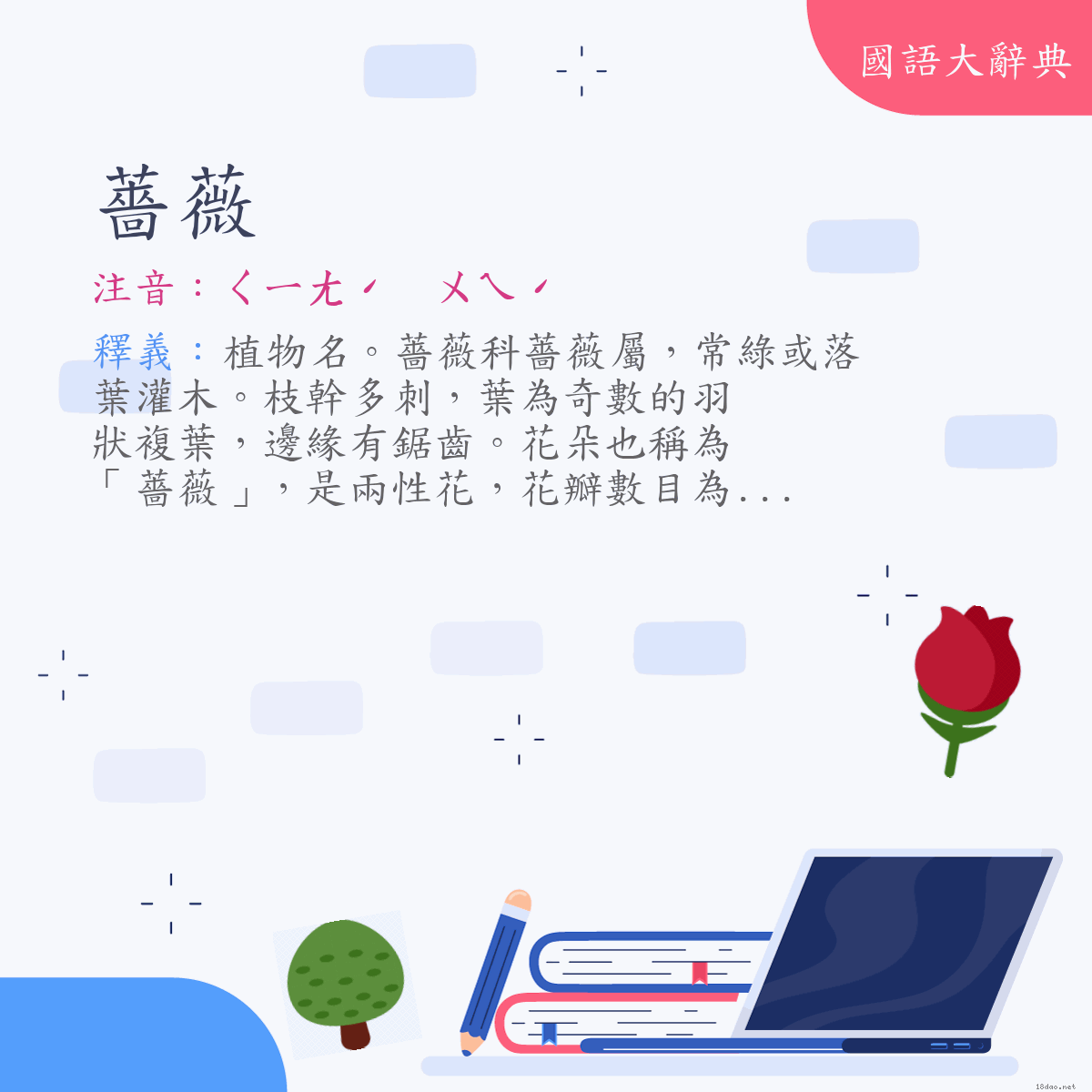 詞語:薔薇 (注音:ㄑㄧㄤˊ　ㄨㄟˊ)