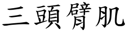 三头臂肌 (楷体矢量字库)