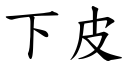 下皮 (楷体矢量字库)