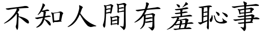 不知人间有羞耻事 (楷体矢量字库)