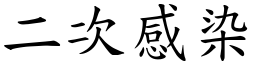 二次感染 (楷體矢量字庫)