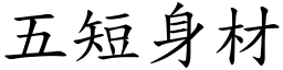 五短身材 (楷体矢量字库)