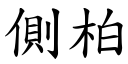 侧柏 (楷体矢量字库)