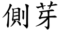 侧芽 (楷体矢量字库)