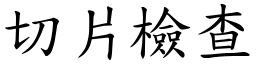 切片檢查 (楷體矢量字庫)