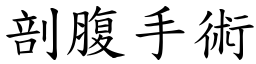 剖腹手术 (楷体矢量字库)