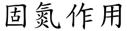 固氮作用 (楷體矢量字庫)