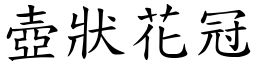 壺狀花冠 (楷體矢量字庫)