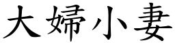 大妇小妻 (楷体矢量字库)