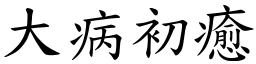 大病初癒 (楷体矢量字库)