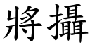 將摄 (楷体矢量字库)