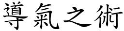 导气之术 (楷体矢量字库)