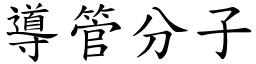 導管分子 (楷體矢量字庫)