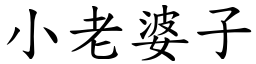 小老婆子 (楷体矢量字库)