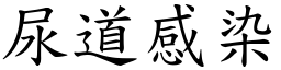 尿道感染 (楷体矢量字库)