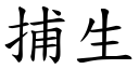 捕生 (楷体矢量字库)