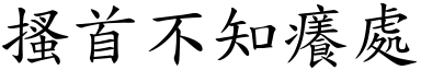 搔首不知癢處 (楷體矢量字庫)