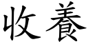 收養 (楷體矢量字庫)