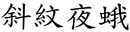 斜纹夜蛾 (楷体矢量字库)