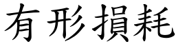 有形损耗 (楷体矢量字库)