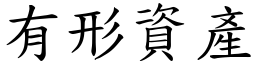 有形资产 (楷体矢量字库)