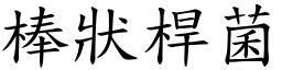 棒状桿菌 (楷体矢量字库)