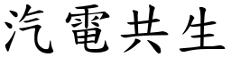 汽電共生 (楷體矢量字庫)