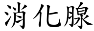 消化腺 (楷体矢量字库)