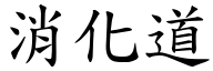 消化道 (楷体矢量字库)