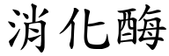 消化酶 (楷体矢量字库)