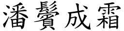 潘鬢成霜 (楷體矢量字庫)