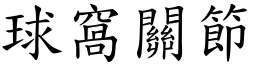 球窩關節 (楷體矢量字庫)