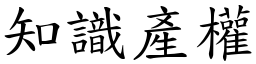 知識產權 (楷體矢量字庫)