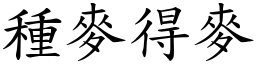 種麥得麥 (楷體矢量字庫)