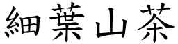 细叶山茶 (楷体矢量字库)