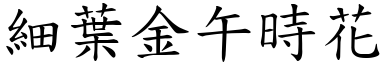 细叶金午时花 (楷体矢量字库)