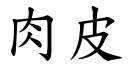 肉皮 (楷体矢量字库)