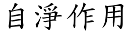 自净作用 (楷体矢量字库)