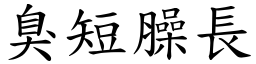 臭短臊长 (楷体矢量字库)