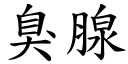 臭腺 (楷体矢量字库)