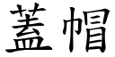 盖帽 (楷体矢量字库)