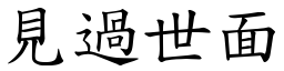 见过世面 (楷体矢量字库)