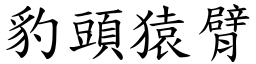 豹头猿臂 (楷体矢量字库)