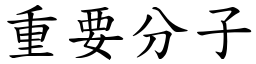 重要分子 (楷體矢量字庫)